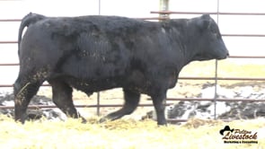 KHR 44M