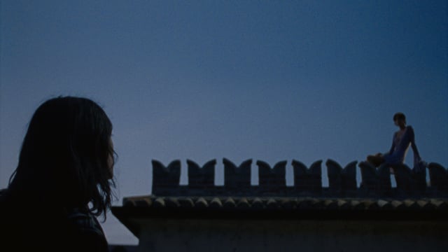 A thumbnail for the film 'Versace Jeans Couture - FW24' by  louis lustermann