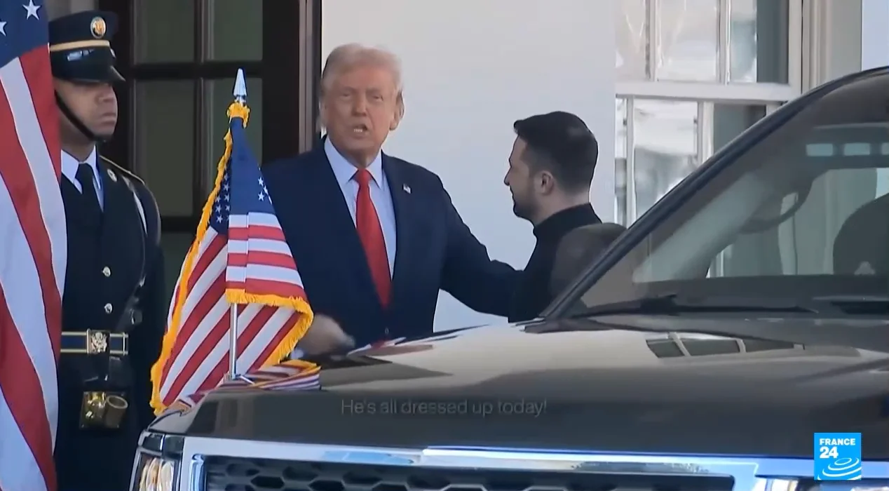 Traci French TV Trump Zeleinkyy
