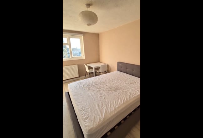 Large Room in Wood Green Main Photo
