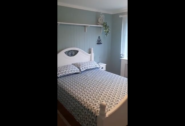 Video 1: