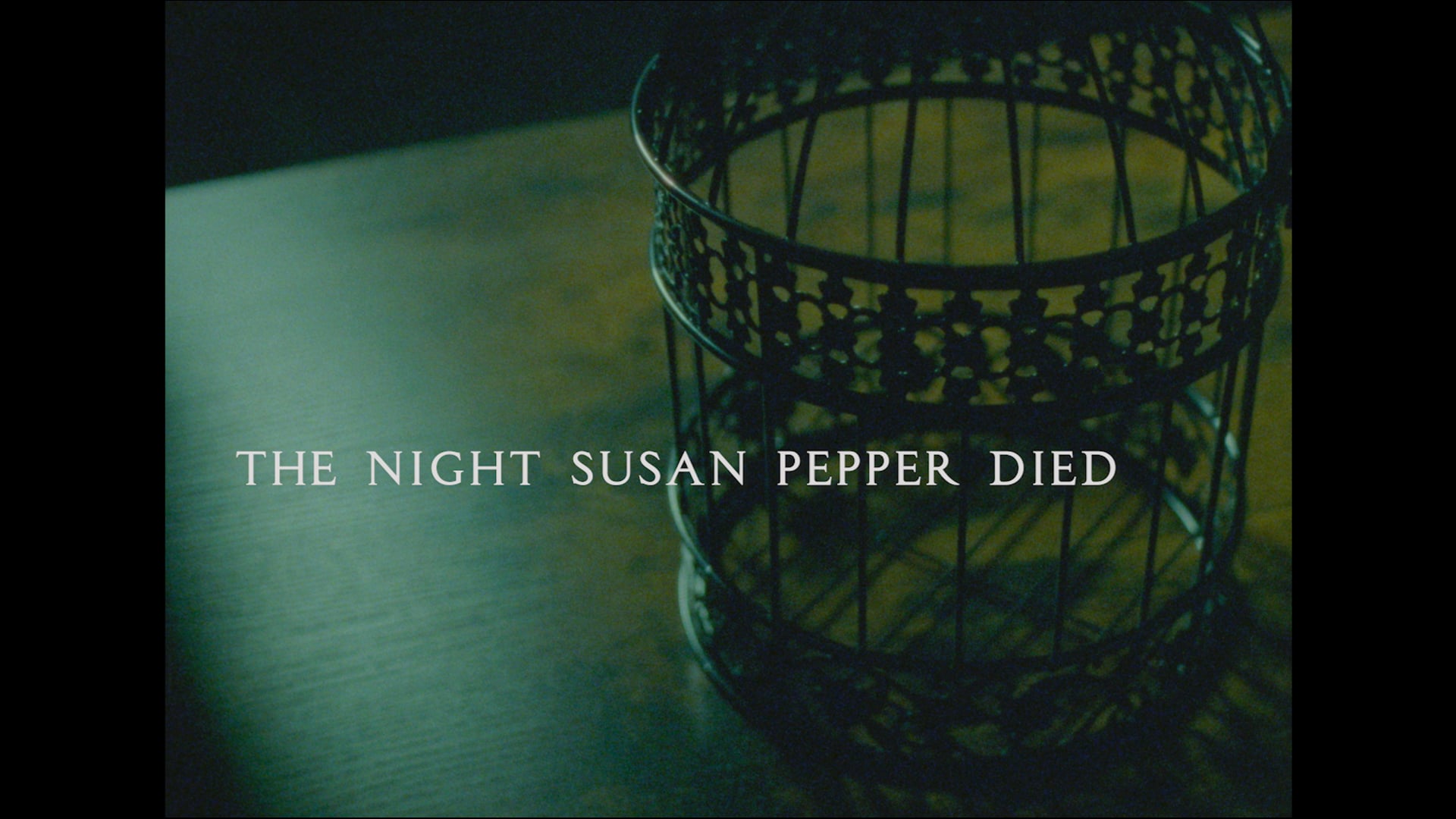 The Night Susan Pepper Died (2025)