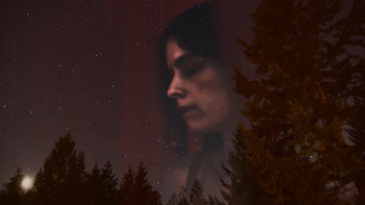 Watch ABANDONNED FOREST on our Free Roku Channel