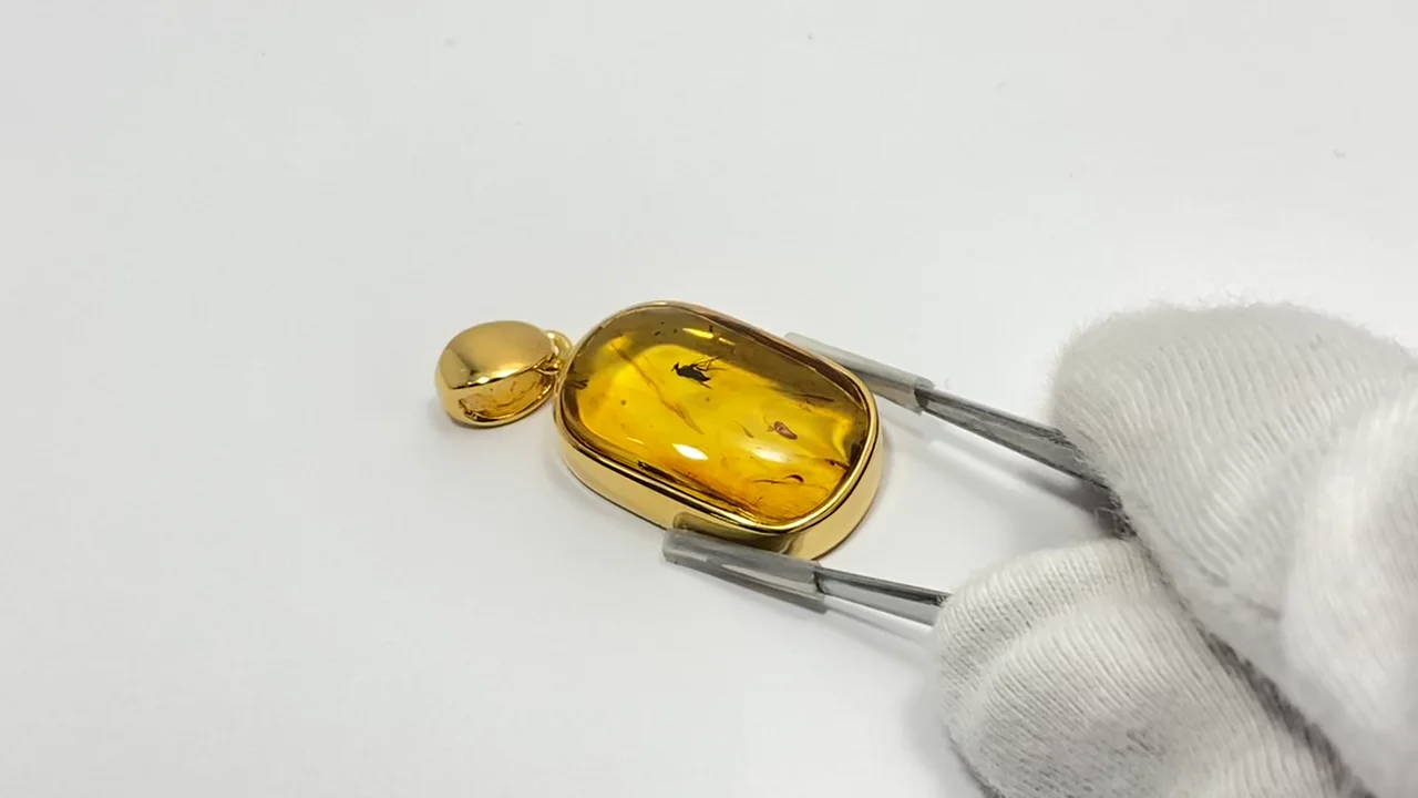 動画】【1点もの】虫入りバルティックアンバー(琥珀) ペンダントトップ