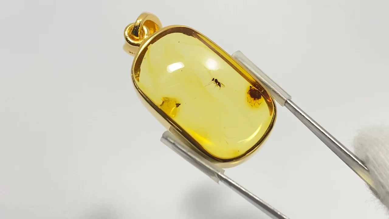 動画】【1点もの】虫入りバルティックアンバー(琥珀) ペンダントトップ