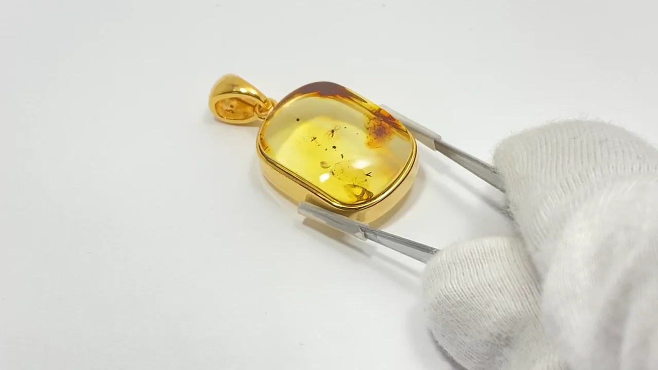 動画】【1点もの】虫入りバルティックアンバー(琥珀) ペンダントトップ