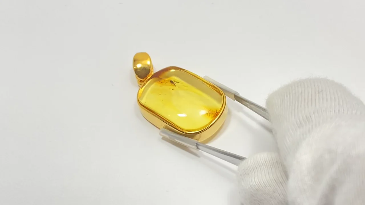 琥珀（こはく）・虫入りバルティックアンバー ペンダントトップ 18KGP