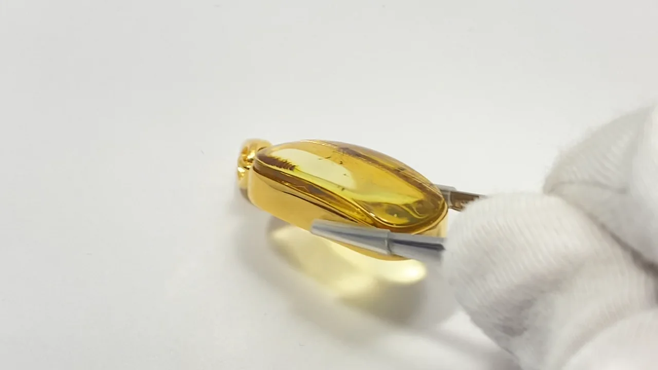 琥珀（こはく）・虫入りバルティックアンバー ペンダントトップ 18KGP