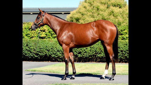 Lot 28