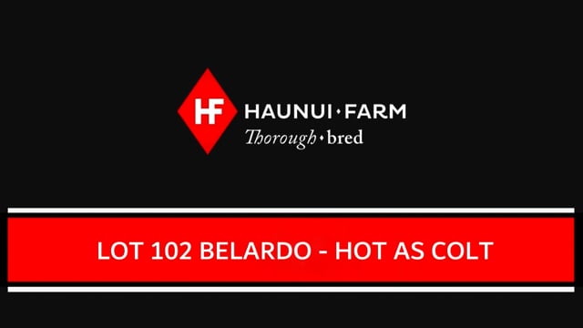 Lot 102