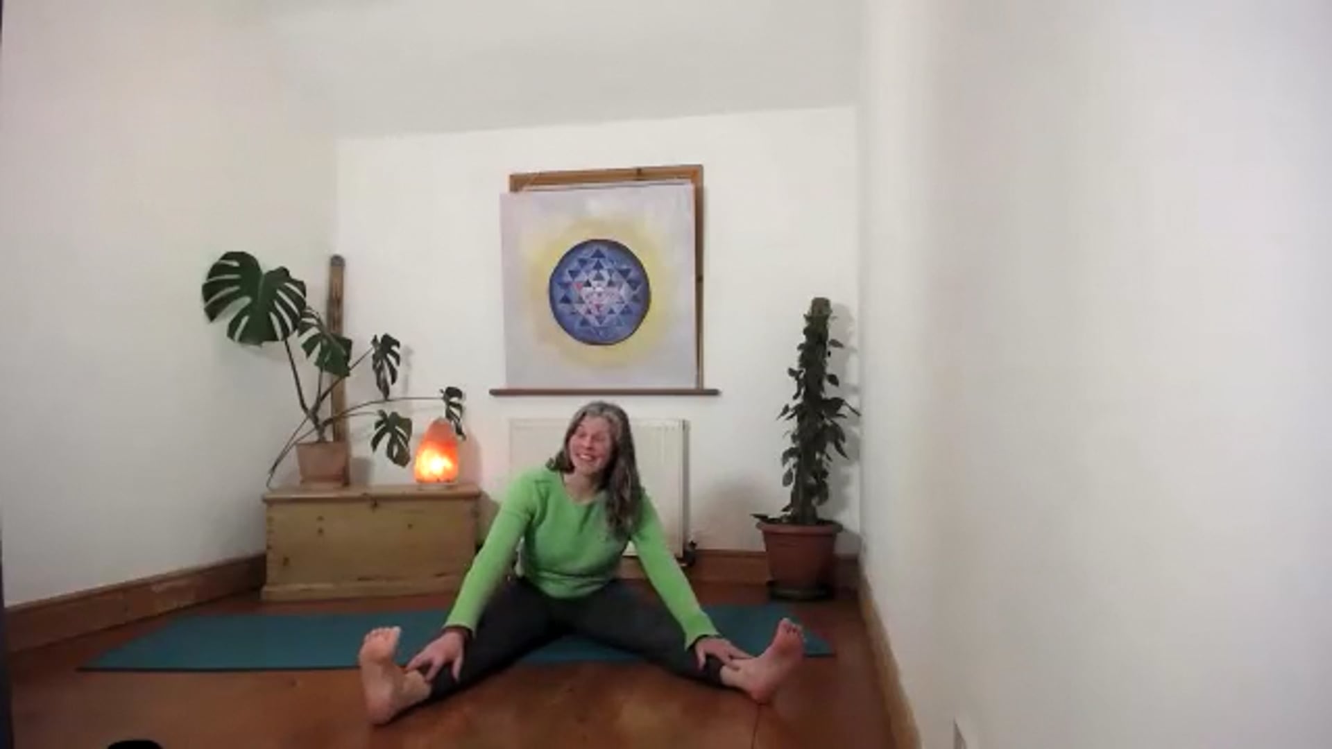 Multilevel wk4 Vital Energy
