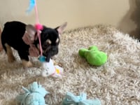 Watch me play!