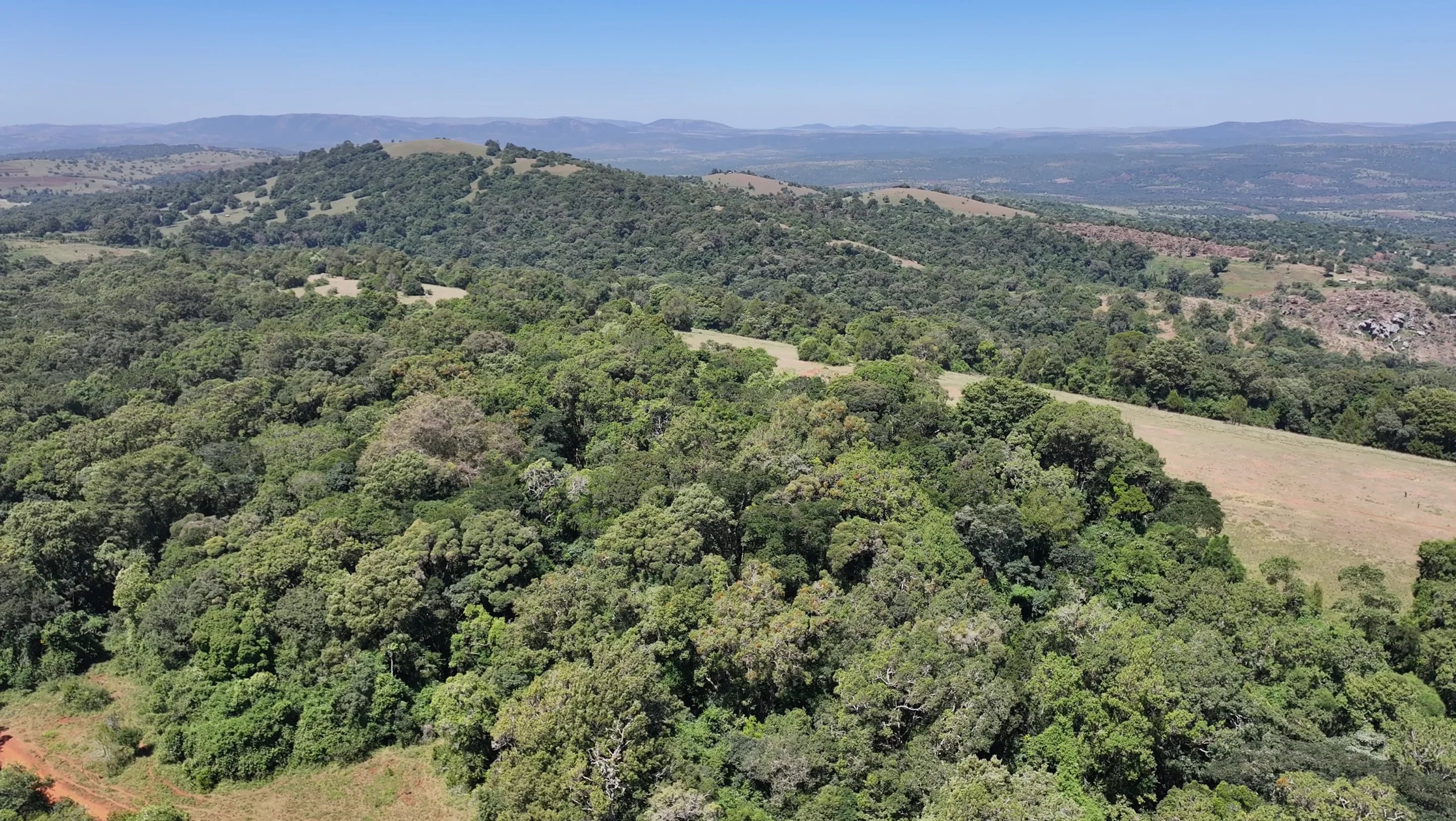 Loita Hills Forest Community led Conservation initiative
