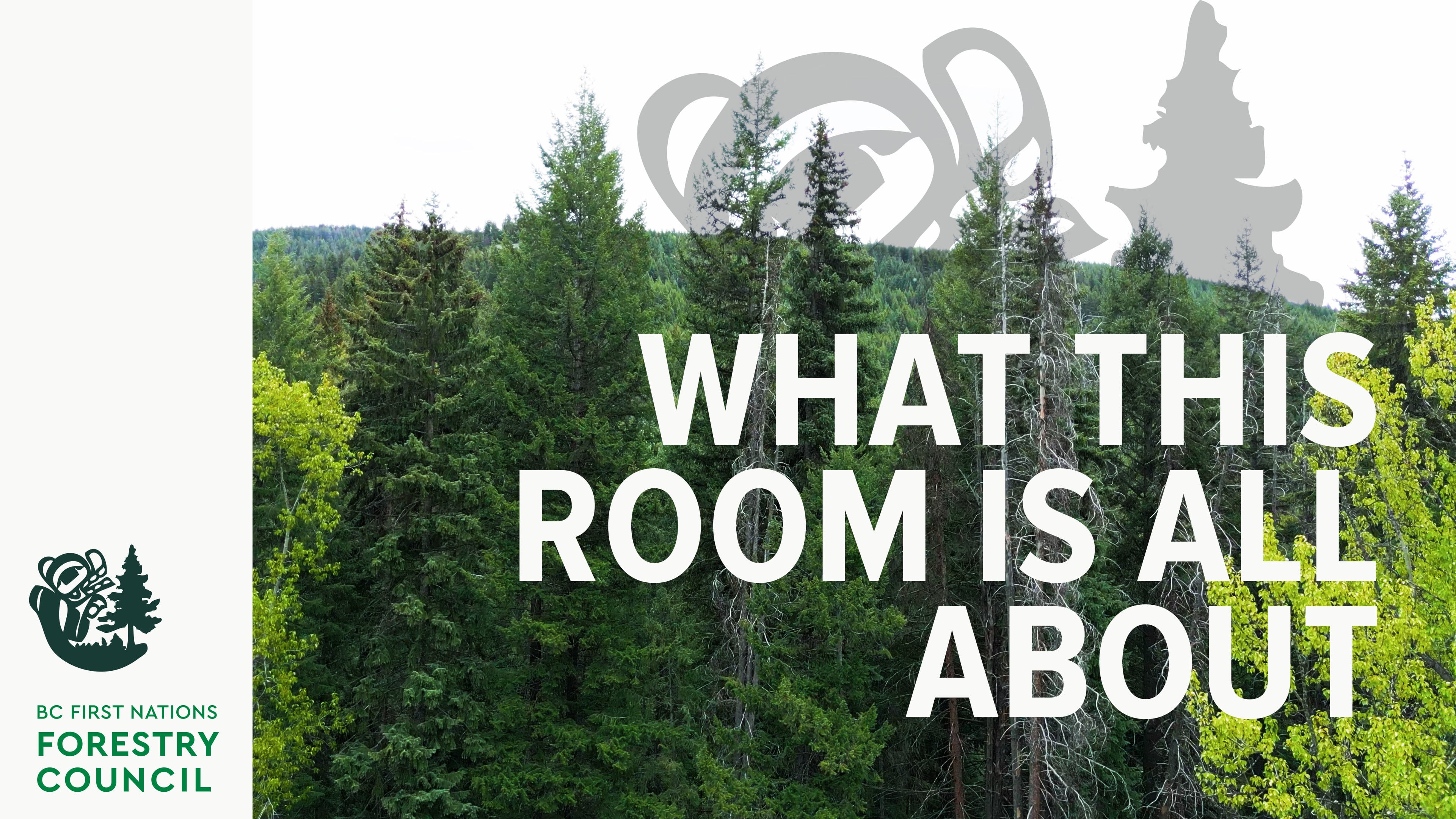 What This Room Is All About