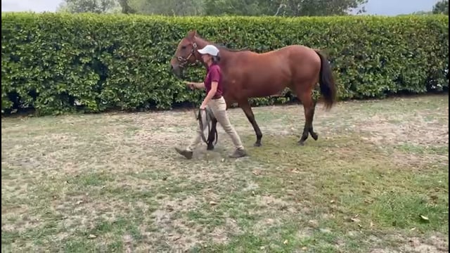Lot 20