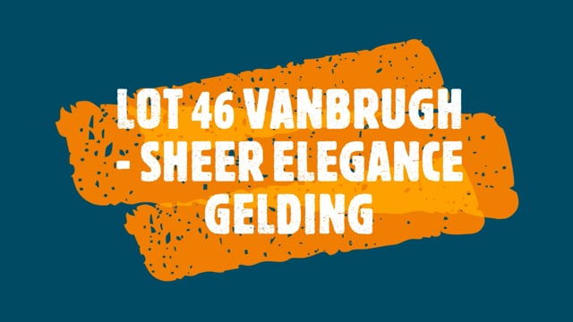 Lot 46