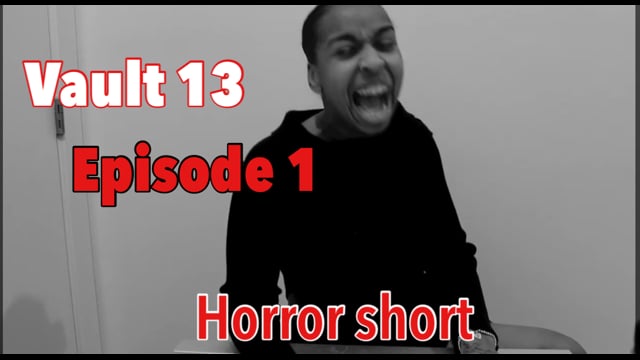VAULT 13 HORROR SERIES