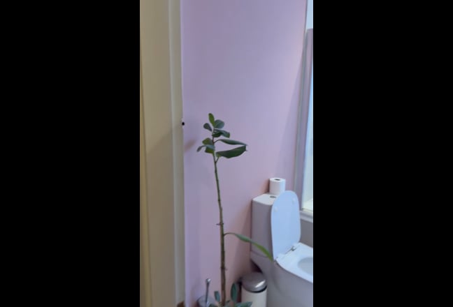 Furnished double room in Stockport  Main Photo