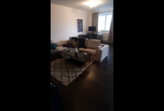 Video 1: