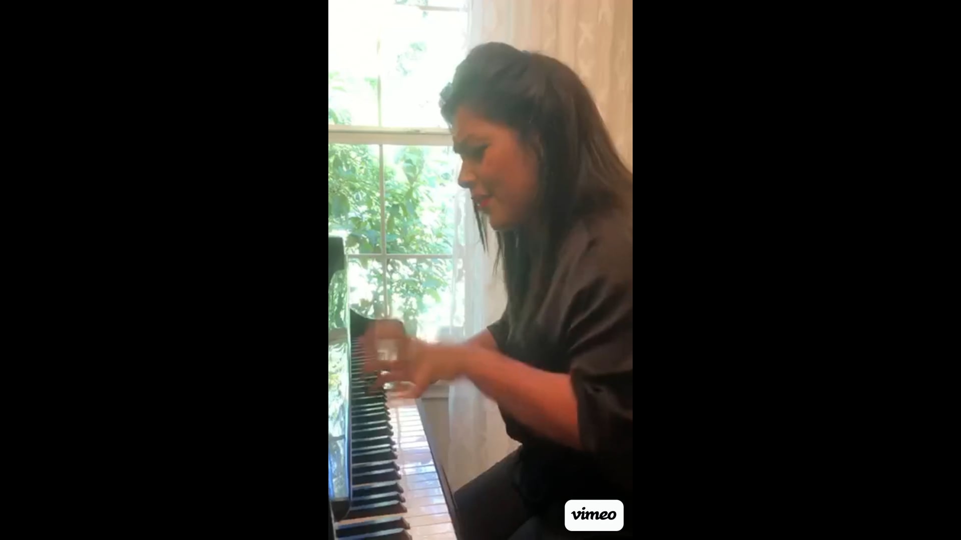 Promotional video thumbnail 3 for Pianist & Opera Singer of Jacksonville