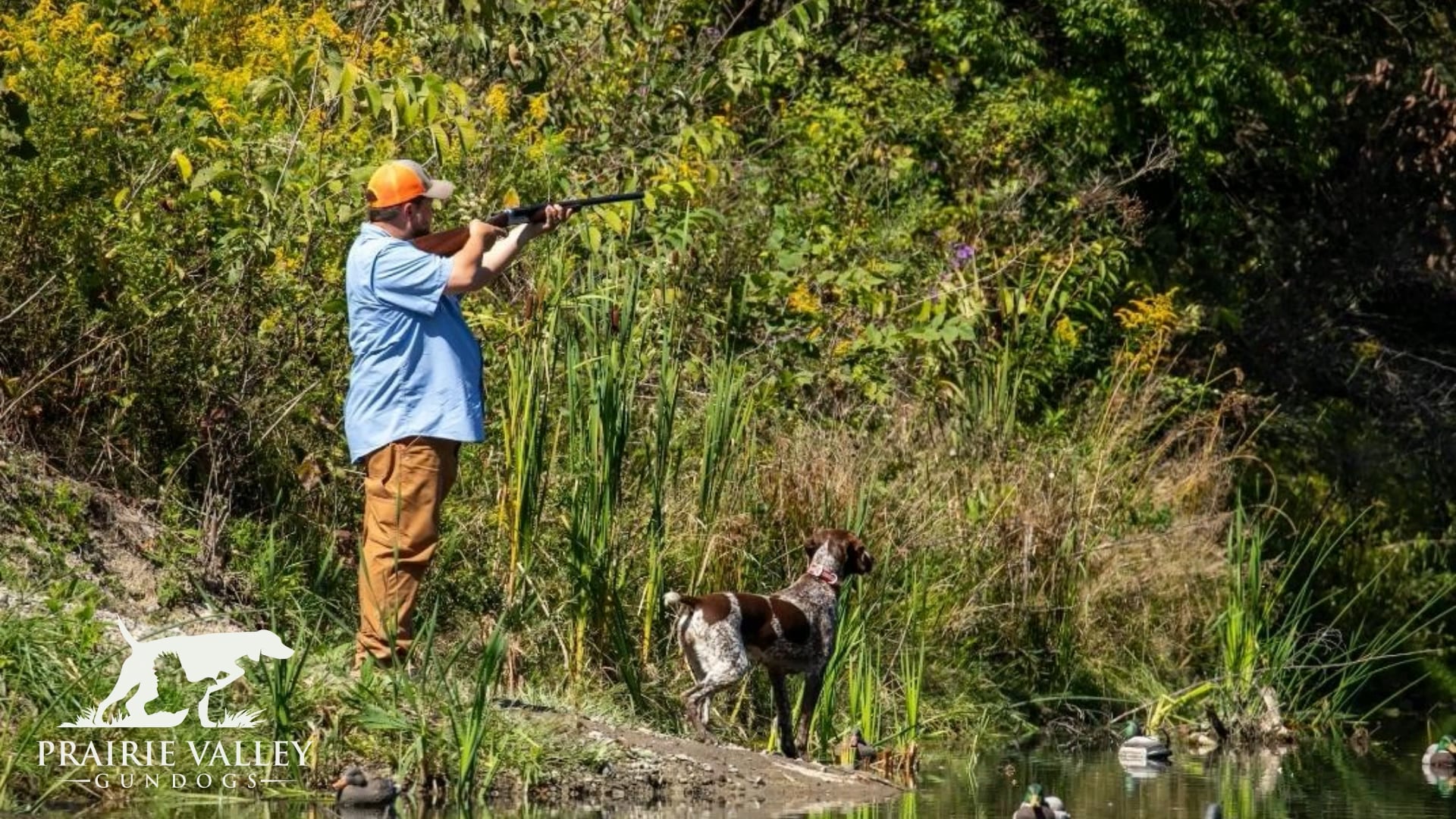 Prairie Valley Gundogs