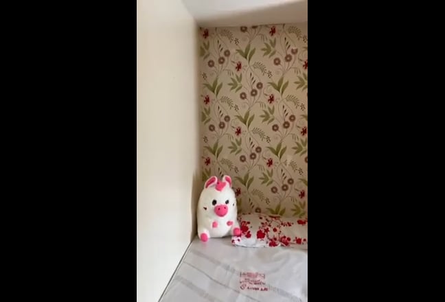 Single room  Main Photo