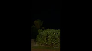 Preview of the original recording from Cancun, Mexico, September 5, 2023 · 10:24 p.m..