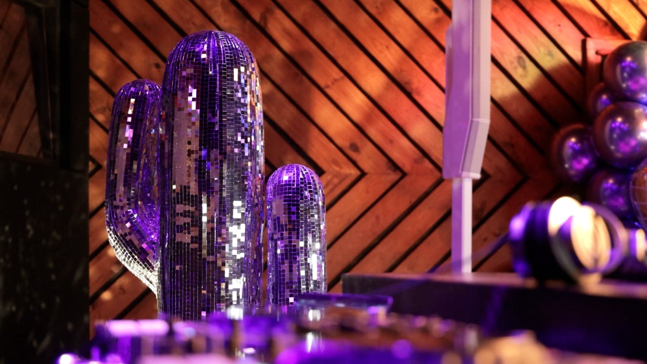 Rya | Bat Mitzvah Archival Edit