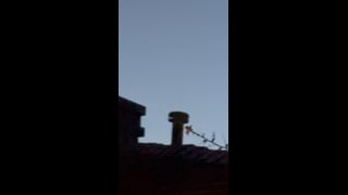 Preview of the original recording from La Quinta, California, February 8, 2024 · 5:55 a.m..