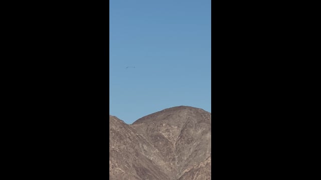 Preview of the original recording from Citrus Golf Course, La Quinta, August 30, 2024 · 7:43 a.m..