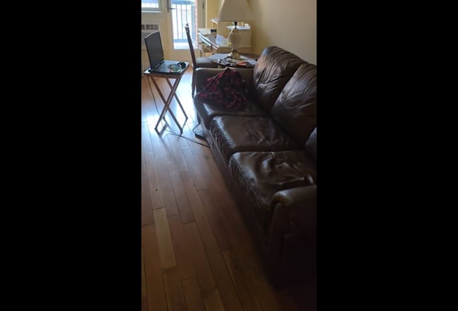 850$ couch/bed in the livingroom 1150 Main Photo