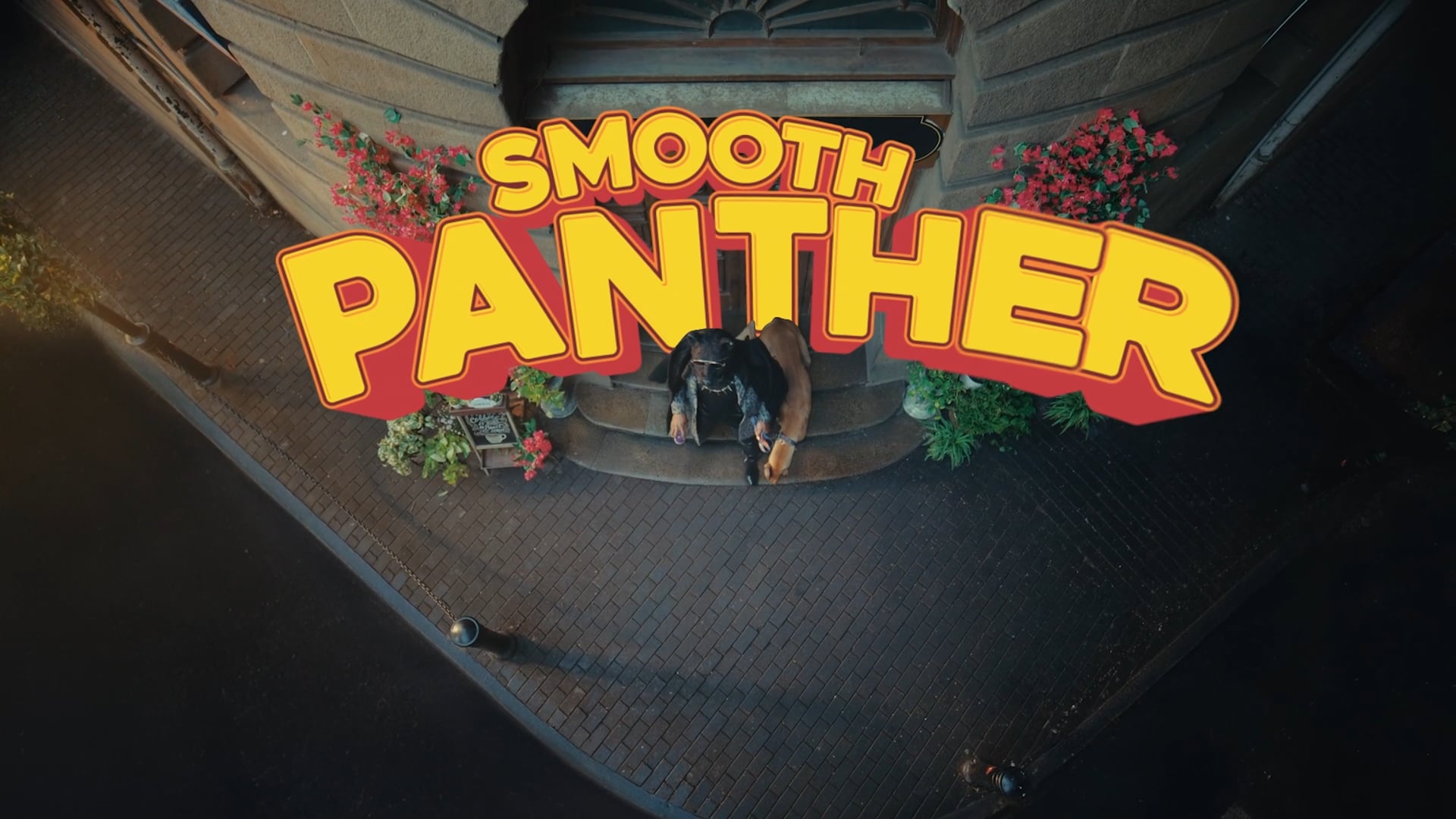 Smooth Panther - John Jacob's Eyewear