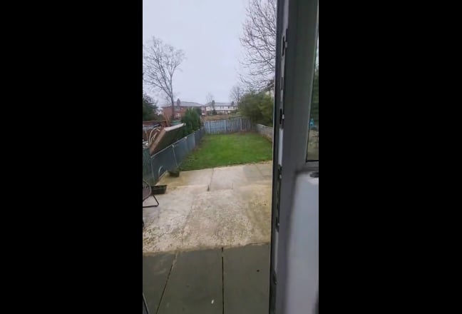 Video 1: