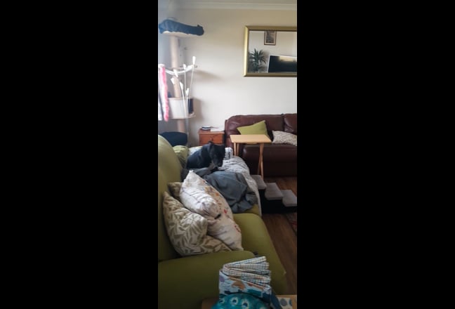 Video 1: Bright room overlooking the garden
