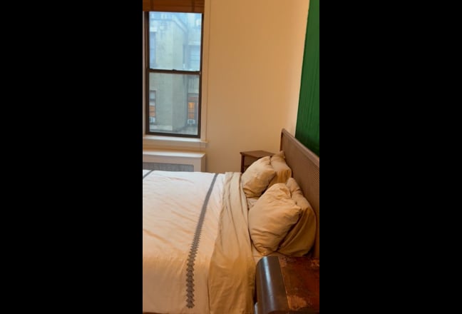 Sunny large 1 br seeking female roommate Main Photo