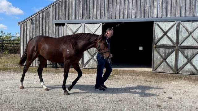 Lot 78