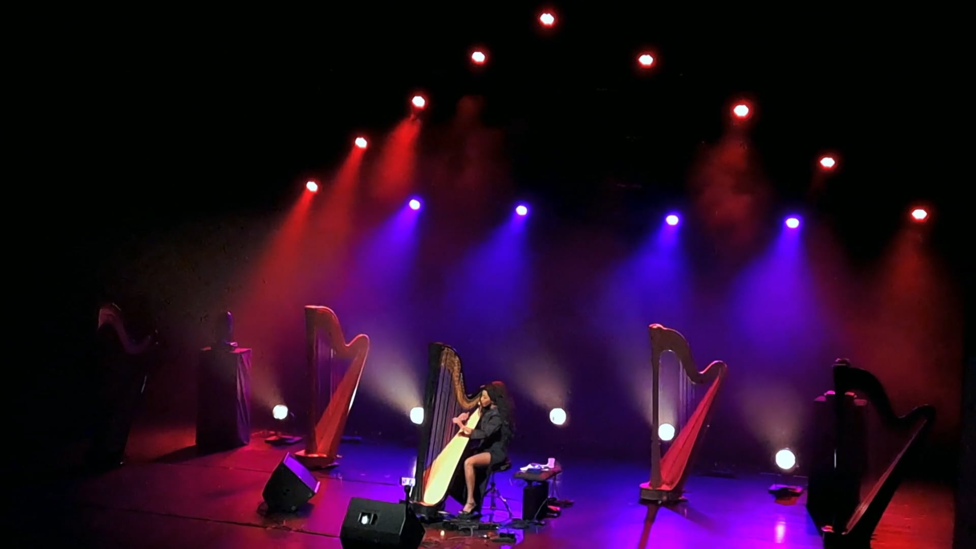 ZEM Live @ INTERNATIONAL HARP FESTIVAL