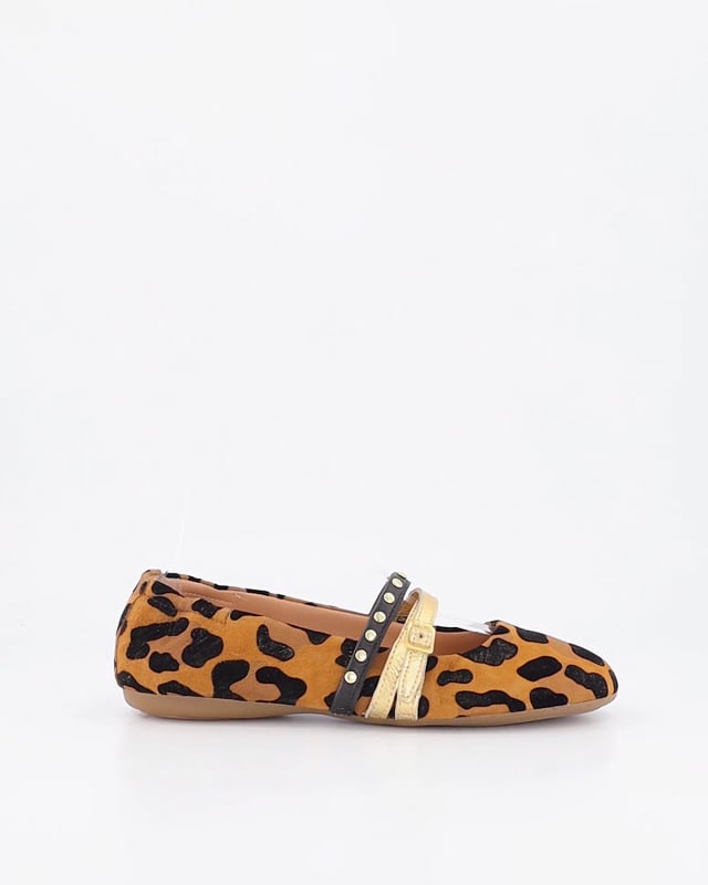 EVOKE / Leopard