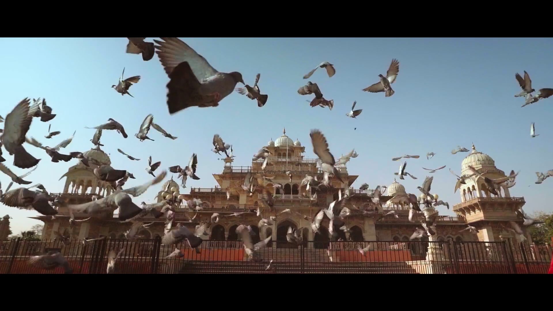 Feel Media Productions_Showreel