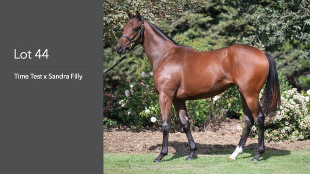 Lot 44
