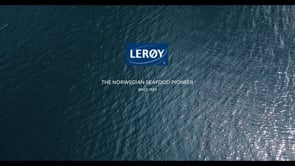 Video Preview Image