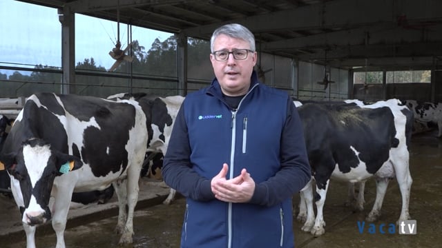 Carlos Noya: "Gando permítenos tomar decisións baseadas na evidencia"
