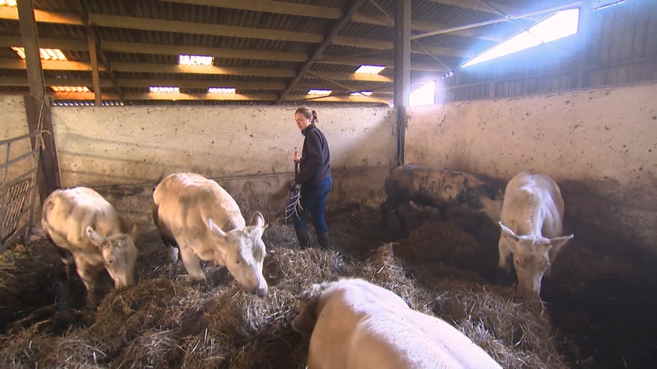 Anne-Catherine Dalcq – Ministre de l’ Agriculture en Wallonie