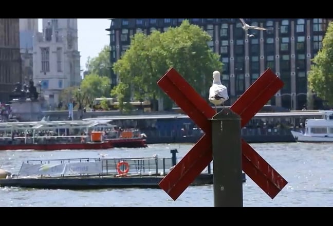 Chic Luxury House with view at canary worth Main Photo