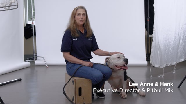 Humane Society Of Westchester | Branded Content Promo | NYC DP