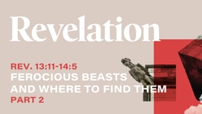 Related Embedded Video Item Thumbnail