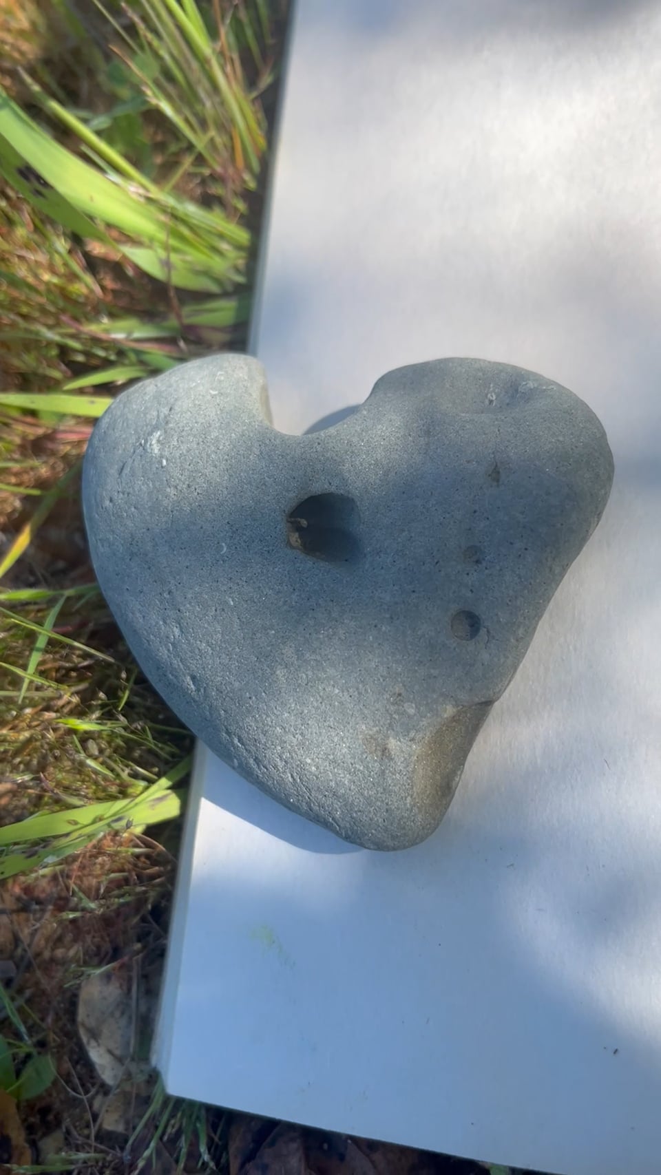 A Green Bough In Our Heart