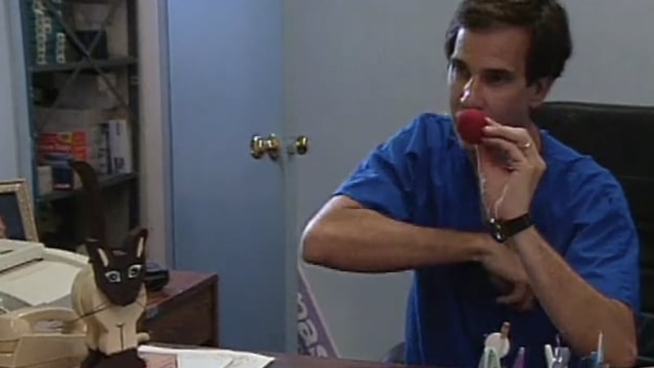 Dentist: Careers