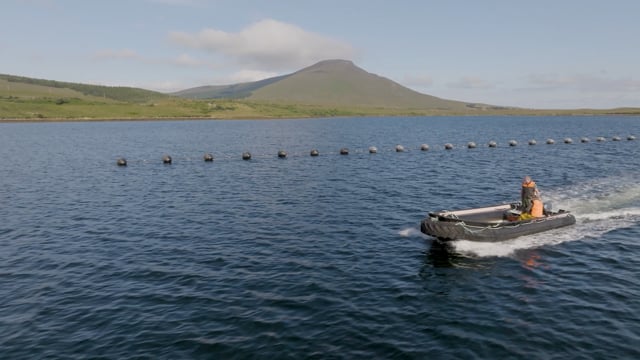 Vimeo Video Thumbnail