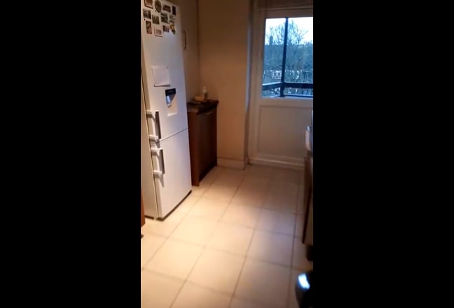 Video 1: